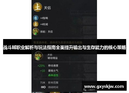 战斗贼职业解析与玩法指南全面提升输出与生存能力的核心策略